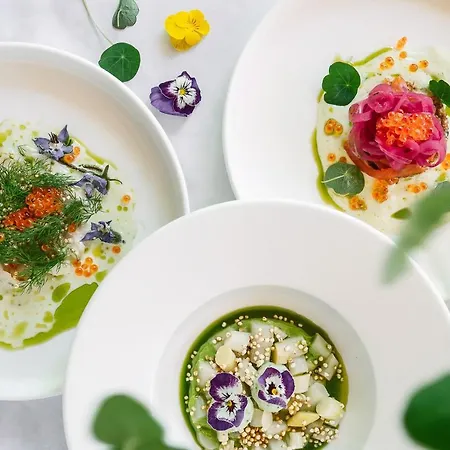 Hotel Boutique Sunrose 7 - Gourmet & (adults Only) 4*