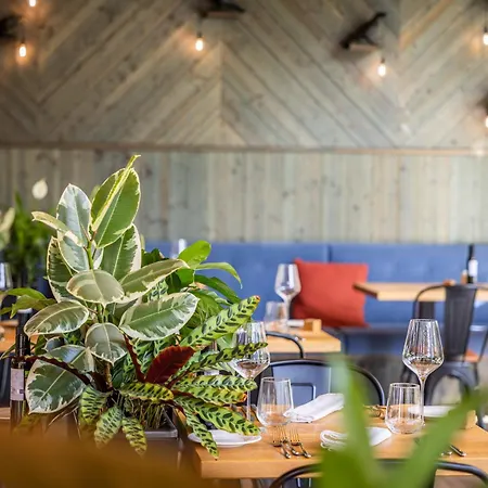 Boutique Sunrose 7 - Gourmet & (adults Only) מלון בוהין