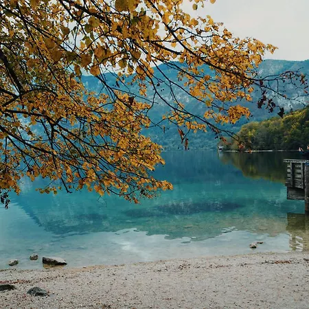 Boutique Sunrose 7 - Gourmet & (adults Only) Otel 4*