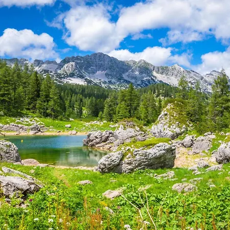 Boutique Sunrose 7 - Gourmet & (adults Only)