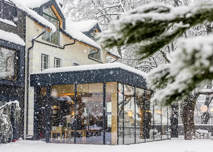 Hotel Boutique Sunrose 7 - Gourmet & (adults Only)