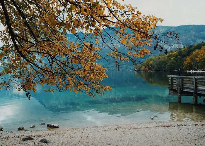 Boutique Sunrose 7 - Gourmet & (adults Only) 호텔 4*