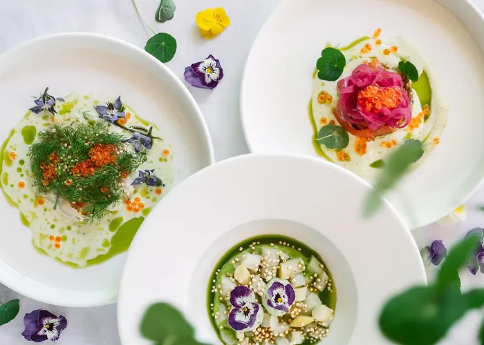 Отель Boutique Sunrose 7 - Gourmet & (adults Only)